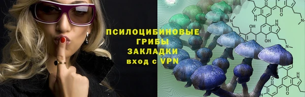 тгк Кулебаки