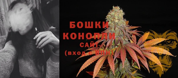 ECSTASY Куйбышев