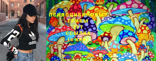 тгк Кулебаки